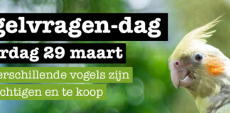 Kom naar de Vogel-vragendag bij Dierspecialist Berben