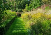 Zo maak je de tuin lenteklaar