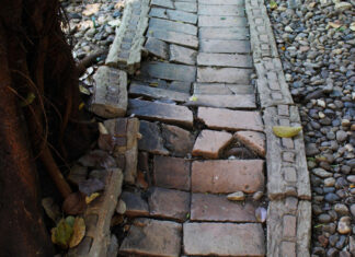 Nieuwe data Tegeltaxi Nunspeet bekend