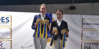 Ponyclub Klein Maar Dapper boekt successen op wedstrijden in Barneveld, Bunschoten, Hoevelaken en Zwolle