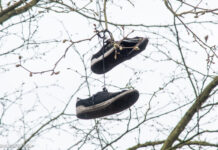 Schoenboom mysterie: wat gebeurt er in Nunspeet?