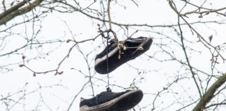 Schoenboom mysterie: wat gebeurt er in Nunspeet?