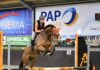 Ponyclub Klein Maar Dapper boekt mooie resultaten tijdens zonovergoten springwedstrijd