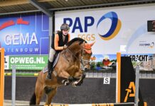 Ponyclub Klein Maar Dapper boekt mooie resultaten tijdens zonovergoten springwedstrijd