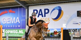 Ponyclub Klein Maar Dapper boekt mooie resultaten tijdens zonovergoten springwedstrijd
