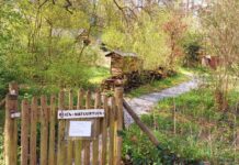 PvdA/GroenLinks helpt Bijennatuurtuin uit de knel