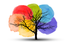 Stichting True Colors Nunspeet slaat alarm over veiligheid LHBTIQA+-gemeenschap