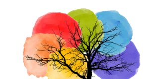 Stichting True Colors Nunspeet slaat alarm over veiligheid LHBTIQA+-gemeenschap