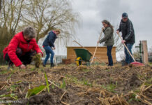 De IJsheiligen zijn weer achter de rug