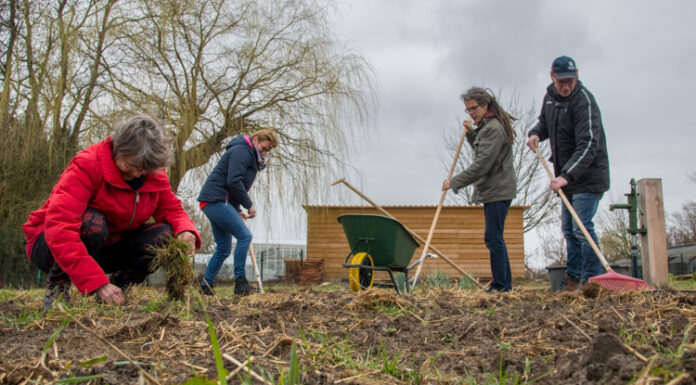 De IJsheiligen zijn weer achter de rug