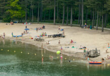 Verbod voor honden bij de Zandenplas tijdens het zomerseizoen
