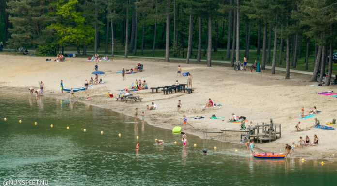 Verbod voor honden bij de Zandenplas tijdens het zomerseizoen