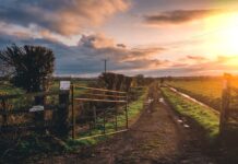 Waarom steeds meer mensen kiezen voor wonen op het platteland