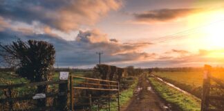 Waarom steeds meer mensen kiezen voor wonen op het platteland