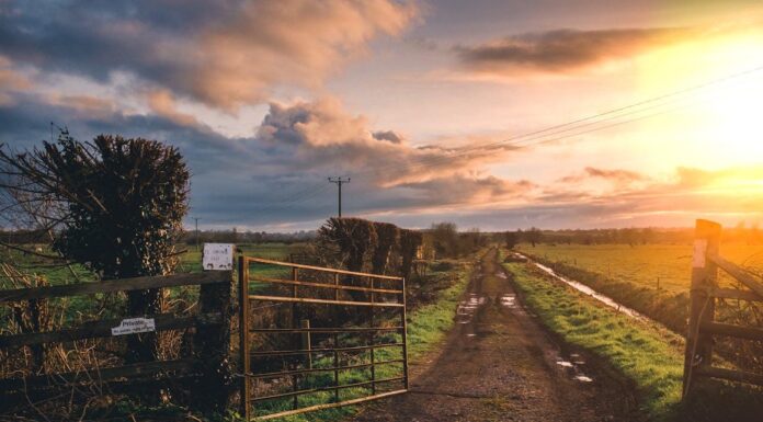 Waarom steeds meer mensen kiezen voor wonen op het platteland