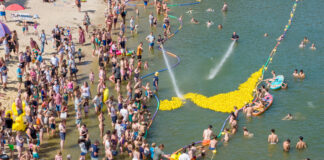 Kwekgekke Waterstrijd in de Zandenplas: Duizenden eendjes racen voor het goede doel