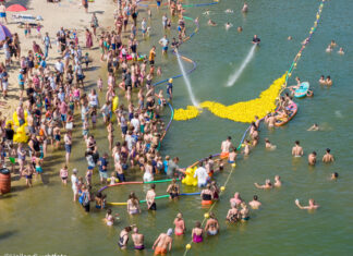 Kwekgekke Waterstrijd in de Zandenplas: Duizenden eendjes racen voor het goede doel