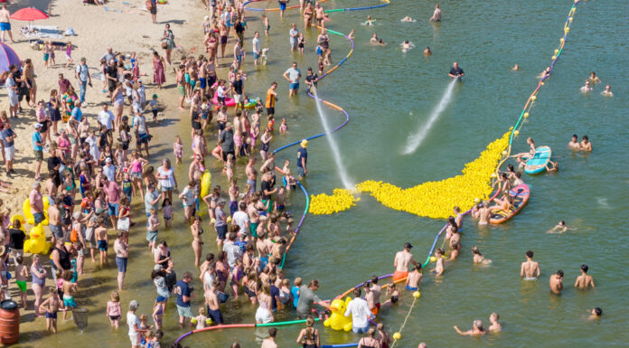 Kwekgekke Waterstrijd in de Zandenplas: Duizenden eendjes racen voor het goede doel