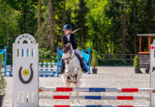 Ponyclub Klein Maar Dapper boekt successen tijdens springwedstrijd