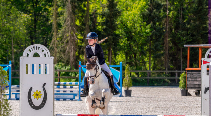 Ponyclub Klein Maar Dapper boekt successen tijdens springwedstrijd