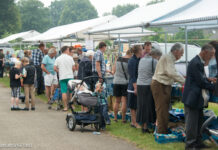 Grote Veluwse boekenmarkten in Elspeet