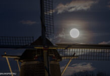 Restauratie van rieten romp molen De Duif van start