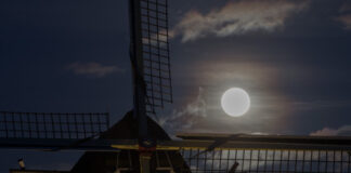 Restauratie van rieten romp molen De Duif van start