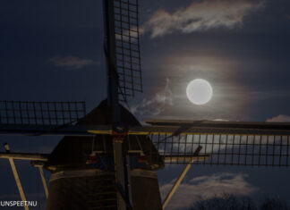 Restauratie van rieten romp molen De Duif van start