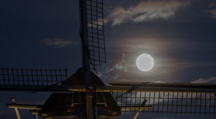 Restauratie van rieten romp molen De Duif van start