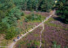 Inschrijving Nunspeetse Heideloop geopend