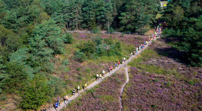 Inschrijving Nunspeetse Heideloop geopend