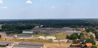Gelderland past beleidsregels stikstof aan: ruimte voor natuur én ontwikkeling