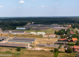 Gelderland past beleidsregels stikstof aan: ruimte voor natuur én ontwikkeling