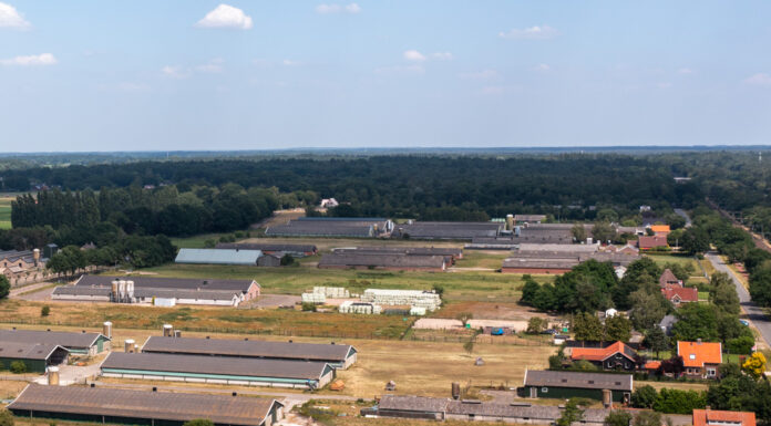 Gelderland past beleidsregels stikstof aan: ruimte voor natuur én ontwikkeling