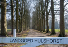 Toekomst Landgoed Hulshorst: herstel en behoud in beeld