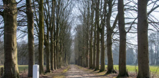 Toekomst Landgoed Hulshorst: herstel en behoud in beeld