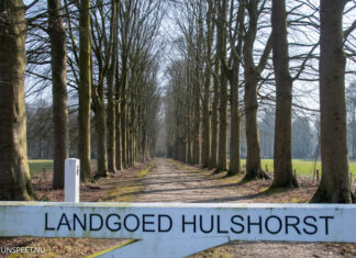 Toekomst Landgoed Hulshorst: herstel en behoud in beeld