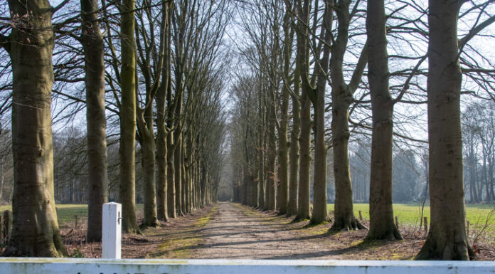 Toekomst Landgoed Hulshorst: herstel en behoud in beeld