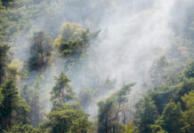 Snelle inzet brandweer voorkomt grote natuurbrand
