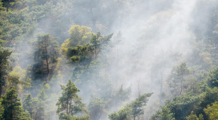 Snelle inzet brandweer voorkomt grote natuurbrand