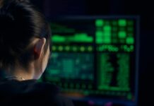 Wat een traineeship in cyber security kan betekenen voor mensen in Nunspeet