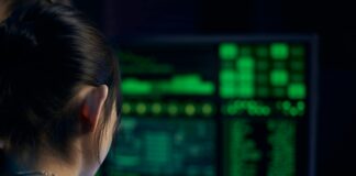 Wat een traineeship in cyber security kan betekenen voor mensen in Nunspeet