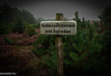 Geen vergunning nodig voor onderzoek naar effect van nachtlicht op natuur Veluwe