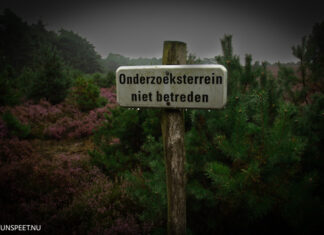 Geen vergunning nodig voor onderzoek naar effect van nachtlicht op natuur Veluwe