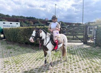 Succesvol weekend voor ponyclub Klein maar Dapper: jonge talenten schitteren op concoursen