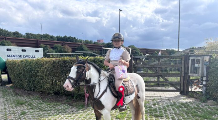 Succesvol weekend voor ponyclub Klein maar Dapper: jonge talenten schitteren op concoursen