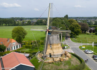 Rietdekkers aan het werk op molen De Duif