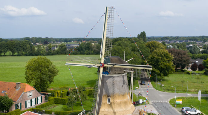 Rietdekkers aan het werk op molen De Duif