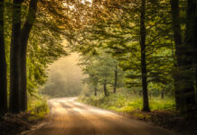 Tentoonstelling ‘Twintig keer Nunspeet’ in gemeentehuis’