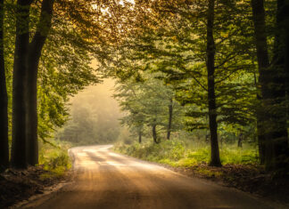Tentoonstelling ‘Twintig keer Nunspeet’ in gemeentehuis’